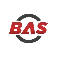 Bina's Auto Supply