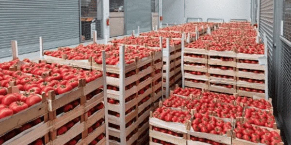 4 Pain Points of Wholesalers and Distributors Which ERP Software Can Help