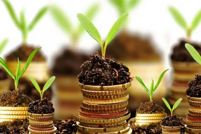 Indonesian Agriculture Business Concepts
