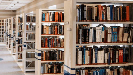 Library Organizing Strategies with School Management Software