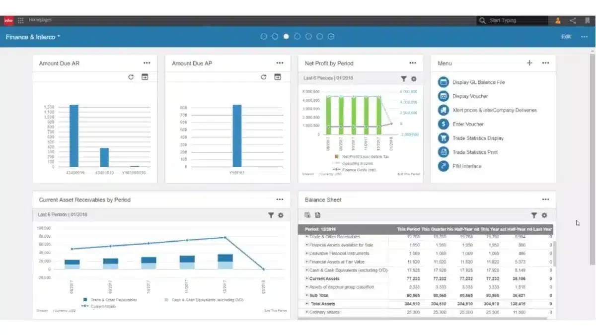 infor ERP Software