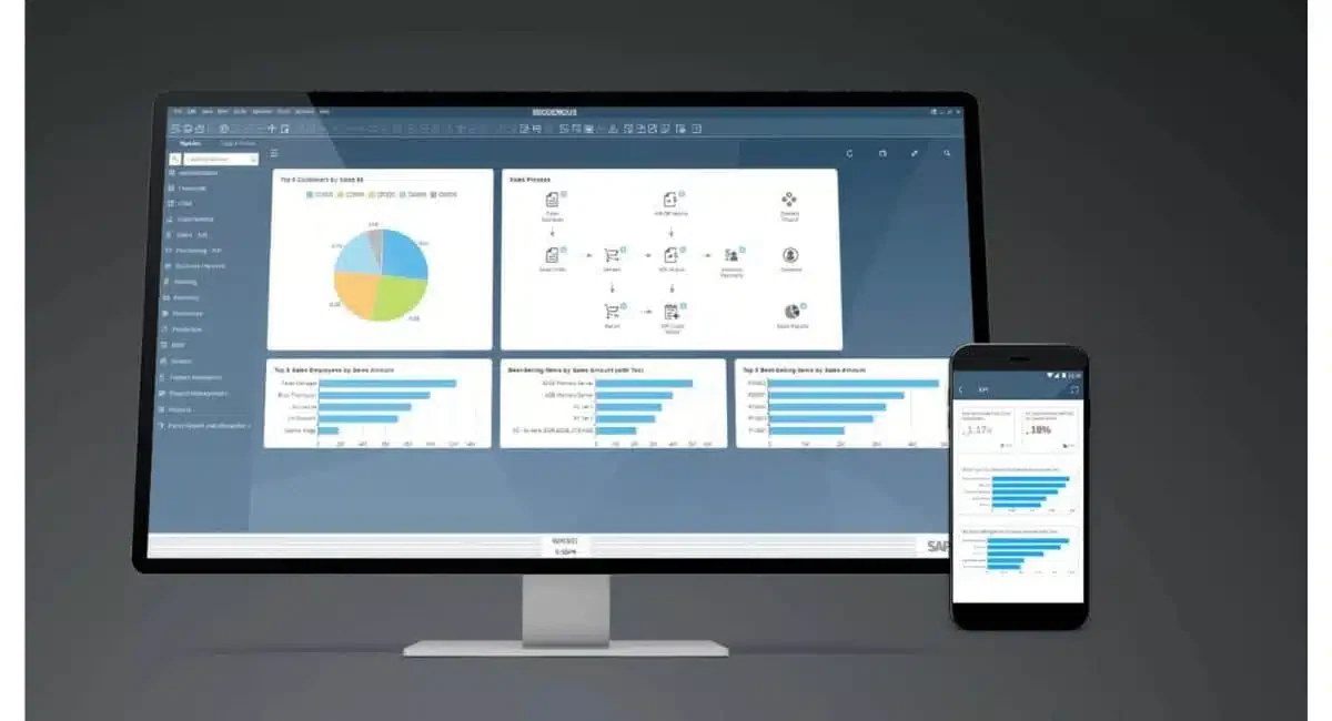 software erp sap business one