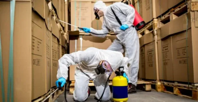 Pest Control Business Software: Recommendation, Features, & Benefits