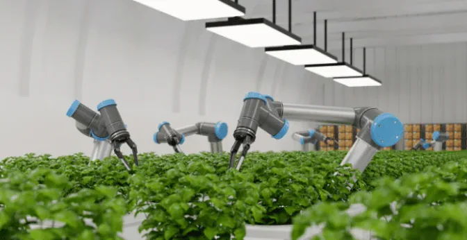 6 Ways to Maximize Your Vertical Farming Efficiency
