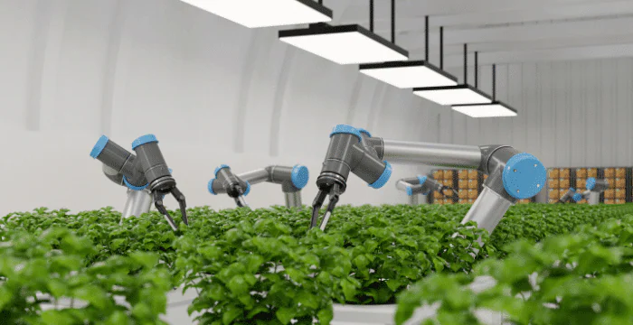 6 Ways to Maximize Your Vertical Farming Efficiency