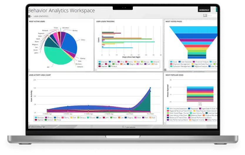financial reporting software insight