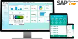 SAP software asset management