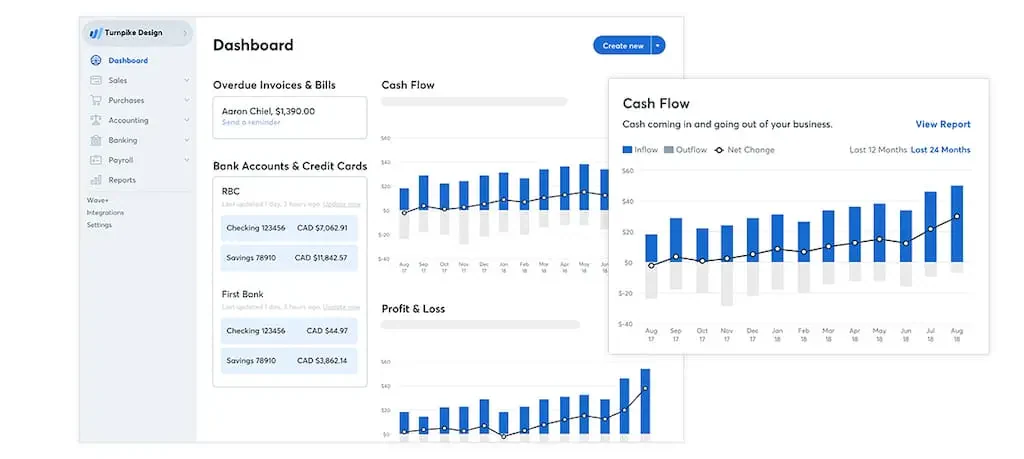 wave accounting dashboard