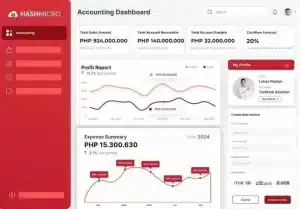HashMicro Accounting Software