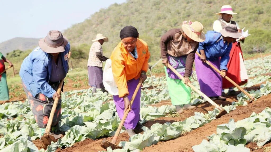 Benefits of HashMicro's Smart Agriculture Solution in Agricultural Systems