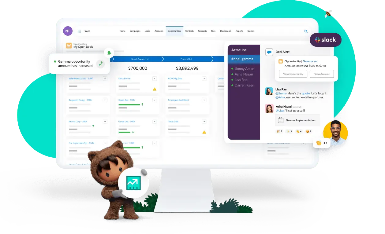 Salesforce client management software