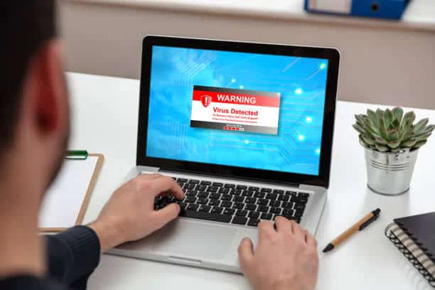 virus (https://www.educba.com/accounting-information-system/)