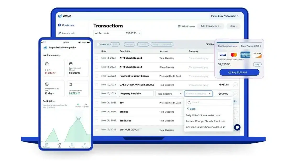 wave accounting software malaysia