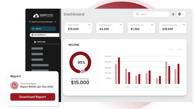 Hashmicro software akuntansi