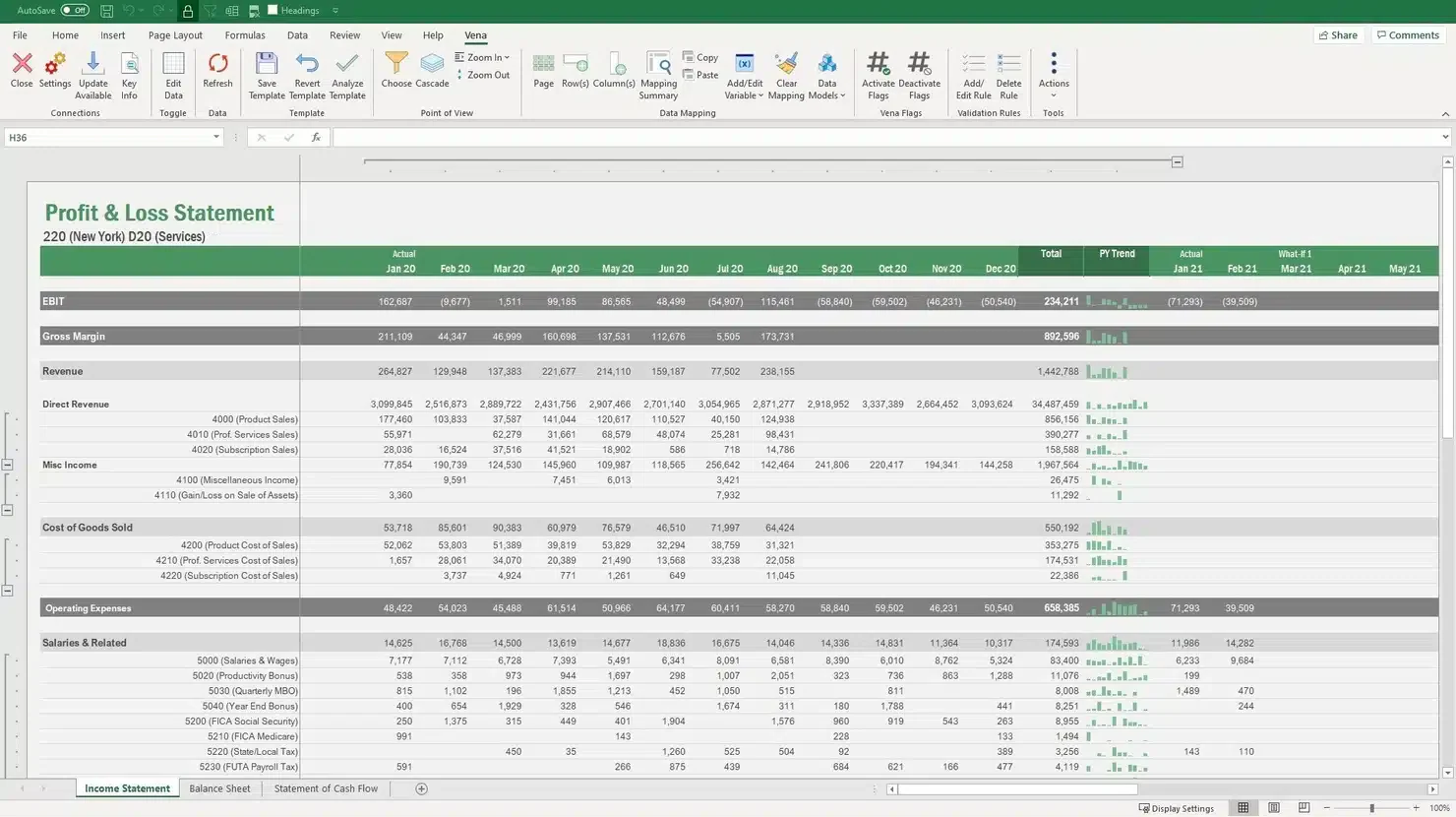 Vena Financial Reporting software