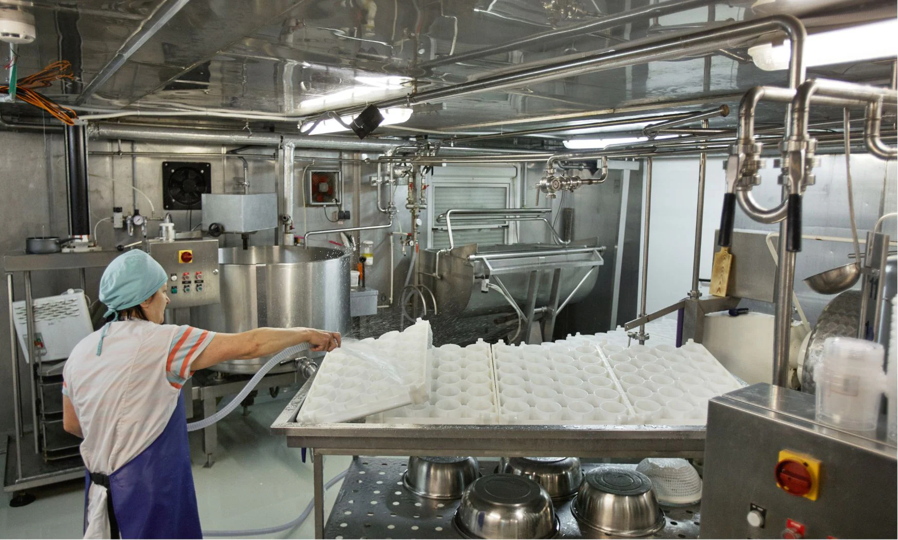 Application of the food industry