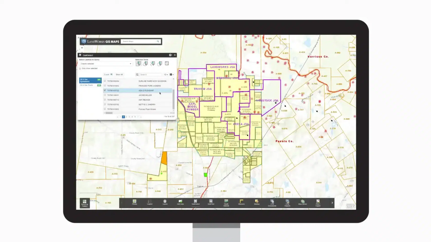 pandell dashboard