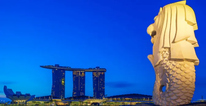 Business Ideas for Entrepreneurs in Singapore