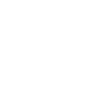 Software Invoicing