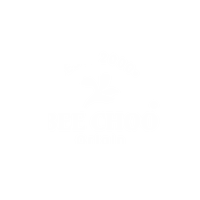 BEE Choo Origin